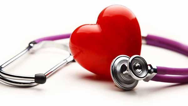 Do you need a Cardiovascular Specialist or Cardiologist?